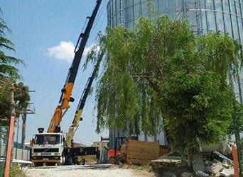 75 Ton Çift Kırma Vinç Kiralama